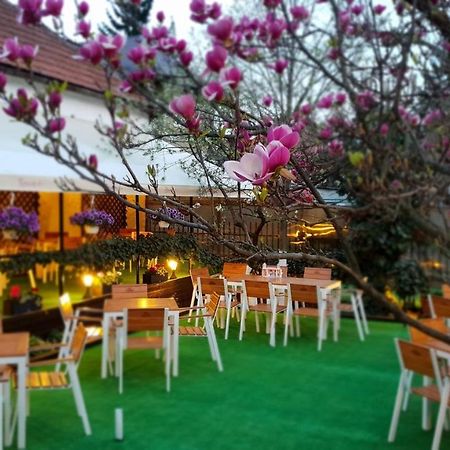 Casa Andreea Hotel Brasov Exterior photo